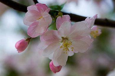 养成冒险互动影游《女神氪金系统》Steam页面开放 明年发售